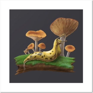 banana slug with mushrooms Posters and Art